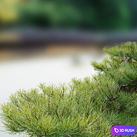 thumb image