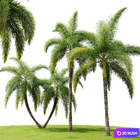 thumb image