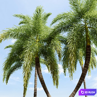 thumb image