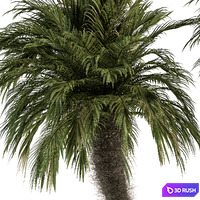 thumb image