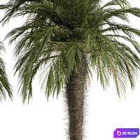 thumb image