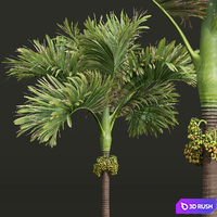 thumb image