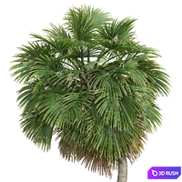 thumb image