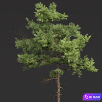 thumb image