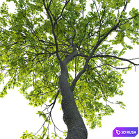 thumb image
