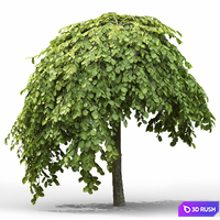 thumb image
