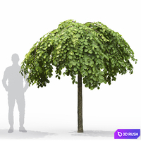 thumb image
