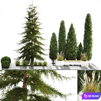 Trees for landscape design and urban environment with a bench and bushes made of thuja, cypress and spruce, fir. 1156.