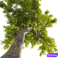thumb image