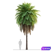 thumb image