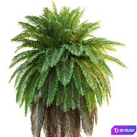 thumb image