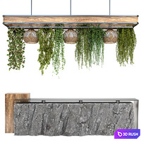 Restaurant counter with hanging plants