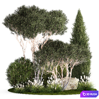 Topiary trees for the garden and alpine slide with thuja, cypress, pine. Set of plants 1339