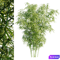 Bamboo Bush