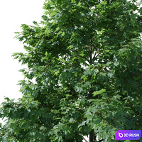 thumb image
