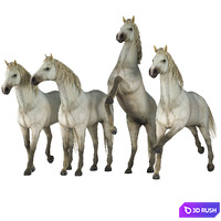 Horse in 04 Poses