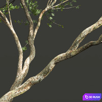 thumb image