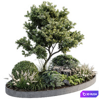 Outdoor Plant 05