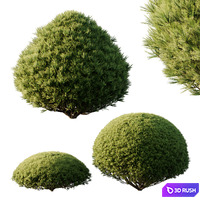 thumb image