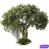Jungle Tree and ivy plants 320