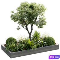 Outdoor Plant 19