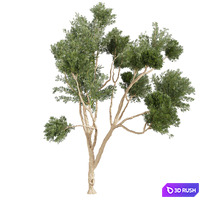 thumb image