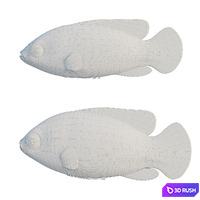 thumb image