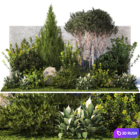 Collection of garden plants with bushes and trees for landscape design with Juniper, Barberry, thuja, cypress, bonsai pine, topiary. Set 1397.
