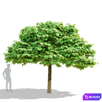thumb image