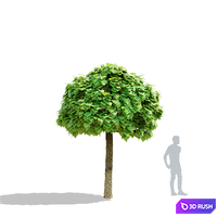 thumb image