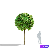 thumb image