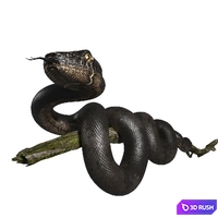 Snake