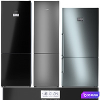 Refrigerator set BOSCH 4