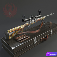 Ruger Guide Gun