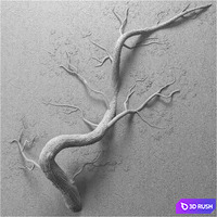 Bas-relief Tree