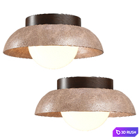 Lampatron STURE ceiling light