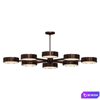 Chandelier Light Fixture