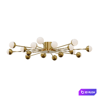 Celebrity Ceiling Light