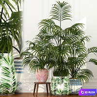 Plants collection 51