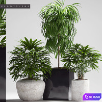 PLANTS 164
