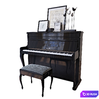 The piano "Weinbach", banquet and decor (Piano Weinbach banquet and decor)
