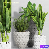 Plant set-111