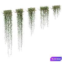 Plants on the shelves. 5 models