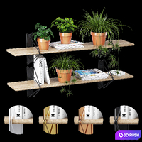 Strut shelving
