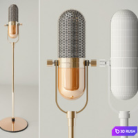 Microphone