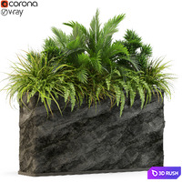 Plants collection 431