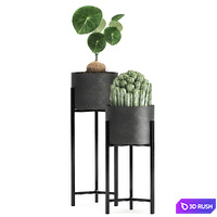 thumb image