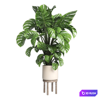 Indoor plant 89 wood vase pot plant monstera