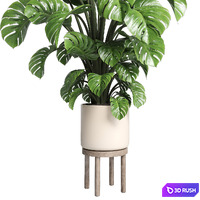 thumb image