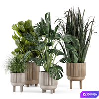 Indoor Plants in Standing Legs Small Bowl Concrete Pot - Set 214